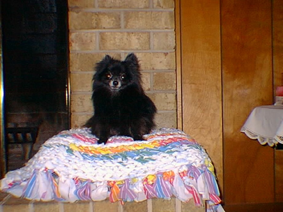 0819_Vixen02.jpg (103777 bytes)